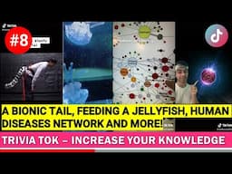 Trivia Tok #8 | Increase your knowledge | Tik Tok Compilation 2021