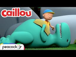 Caillou and the Sick Dinosaur! | CAILLOU