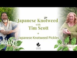 Japanese Knotweed with Timothy Scott + Japanese Knotweed Pickles