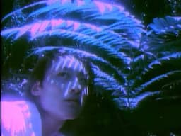 荒木真樹彦「1999」ミュージックビデオ Makihiko Araki "1999"