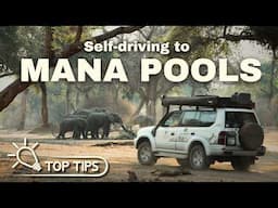 Self-driving to MANA POOLS - Everything you need to know!