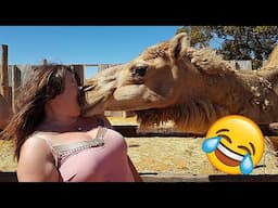 Best Funny Videos🤣 Try Not To Laugh🤣 Funny & Hilarious People's Life 😂 #58