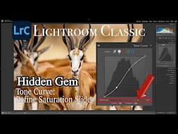 Unlock Lightroom Classic's Hidden Gem: Tone Curve's Refine Saturation Slider + Photoshop Bonus Tip!