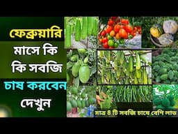 ফেব্রুয়ারি মাসে কি কি সবজি চাষ করবেন দেখুন - কোন মাসে কি সবজি চাষ করবেন - সবজি চাষ পদ্ধতি