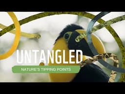 Untangled: Nature's Tipping Points