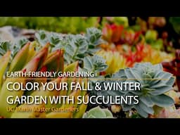 Color Your Fall & Winter Garden With Succulents