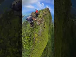 Chasing my girlfriend along the narrow, mountain ridges of Hawaii! #hawaii #hiking #oahu