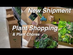 Hunting for Uncommon Plants at Big Box Store Lowes | Creating a Plant Set Up & Grow Lights!