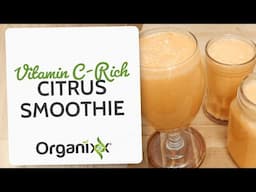 Vitamin C-Rich Citrus Smoothie