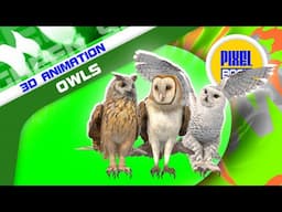 Blue Screen Owls on the Trees 3D Animations - PixelBoom