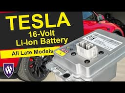 The 16V Li-Ion Battery used by Tesla