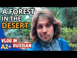 Russian Vocabulary in Nature: Neuquén's Artificial Forest