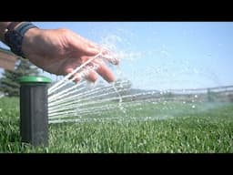 I cut HALF THE WATER on my lawn. You Won't Believe The Results!