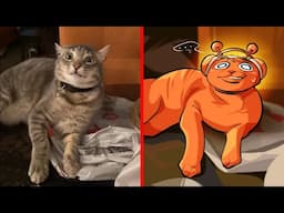 Cat Memes: Sprunki Cat Incredibox 😂 Try Not To Laugh With These Funny Animals