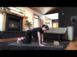 Quadruped Hip CARs (controlled articular rotations)