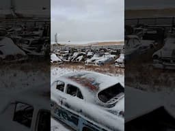 Snowy day at the Junkyard  #patina #classicusacars #antiquecar #oldtruck #ratrod #classiccar