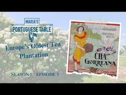 S1E3: Maia & Vila Franca- Tea & Pastries   - Azorean Green Bean