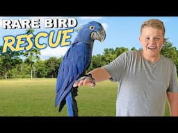 Surprising Kyle with the Worlds BIGGEST Parrot! Rare Bird Rescue!