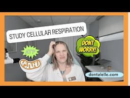 Study Cellular Respiration - Quick Study with Me | Dentalelle