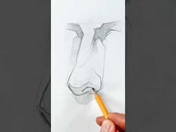 How to draw nose #sketch #howtodraw #drawingtutorial