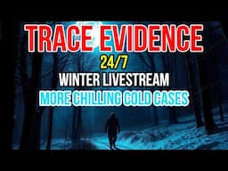 24/7 Winter Livestream 2nd Edition