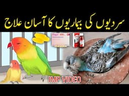 Sardio Mein Birds Ki 5  Bimariyan Aur Unka Ilaj | Budgies & Lovebirds Winter Care Tips