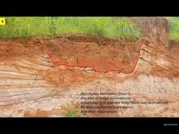 Sedimentary Facies and Reservoir Quality