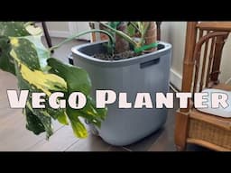 Plant Lover GIFT IDEA   VEGO Garden Self Watering Planter with Trellis