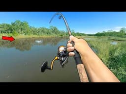 Fishing MILES deep in a HIDDEN creek (Bank Fishing)