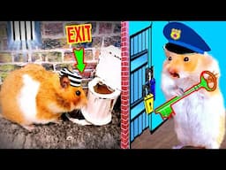 🐹Scorpion maze with Traps hamster Police Pets🐹 in Hamster Stories Part 2