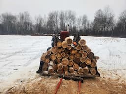 FARMSTEADING. December Rain? Ice. Cutting wood. Wood Boiler. Training the calf or is he training me?