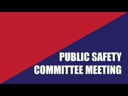 Public Safety Committee Virtual Meeting of February 5, 2025