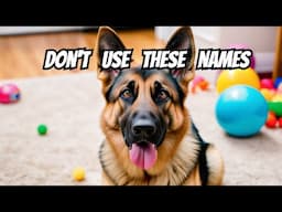 Outrageous German Shepherd Names You Should Avoid