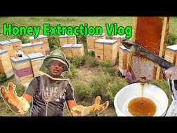 Honey harvesting Process- USA Honey farming with APNA AMERICA