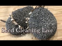 Seed Cleaning