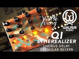 Walrus Audio Qi Etherealizer Yvette Young Chorus Delay Granular Reverb Multi-Effect