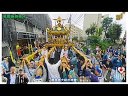 令和６年　有馬神明神社  例大祭  本社 神輿WoW!!!渡御　迫力満点です（ video 65）　　。