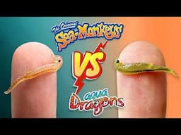 Sea-Monkeys VS Aqua Dragons | The Ultimate Showdown!