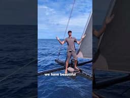 Atlantic Crossing Update - Bermuda to Azores (Day 5) #sailing #balancecatamarans