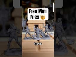 Free, detailed mini files 🤩 #dnd #3dprinting #diy #free #review #deckofdmthings