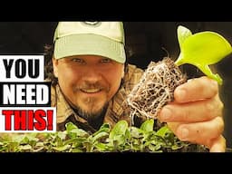 4 Seed Starting Must Haves - Garden Quickie Episode 232