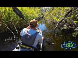 Wandering through Mangrove Tunnels