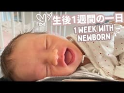 A Day in the Life of New Parents with a Preemie Newborn Baby 🍼