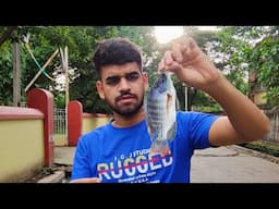 Maine Bahut Saare Tilapia Fish Pakara Aquarium Ke Lye | Fishing In The Wild