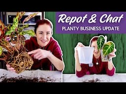 Planty Business Update You've Been Waiting For | 3 Year Channel Anniversary Repot & Chat