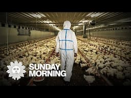 The impact from bird flu spreads