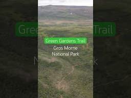 The Green Gardens Trail in Gros Morne National Park Is A Must-Do #canada #travel #newfoundland