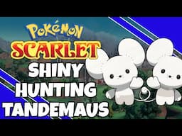 3 Shines Found! Shiny Hunting Tandemaus | Pokemon Scarlet