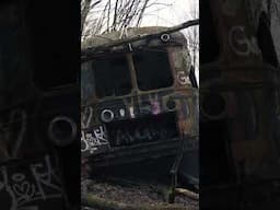 Abandoned Historic Trolley Cars  #train #abandoned #railway