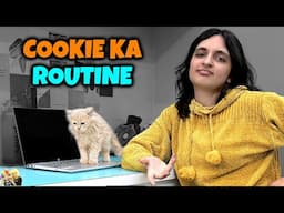 COOKIE KA ROUTINE | Aayu and Pihu Show